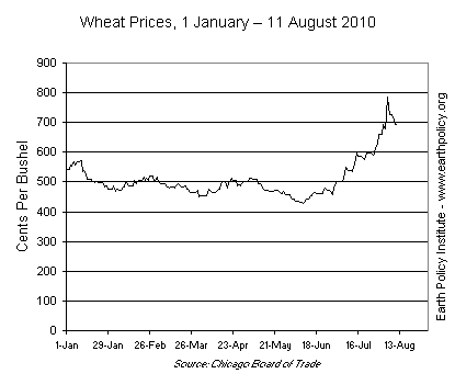 Wheat Prices, 1 January - 11 August 2010