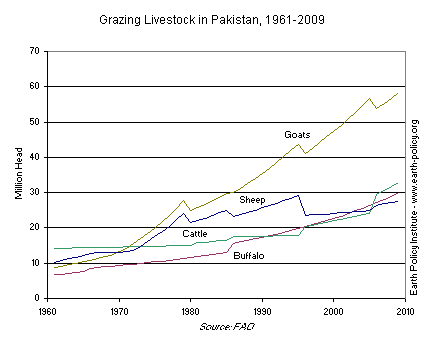 Grazing Livestock in Pakistan, 1961-2009