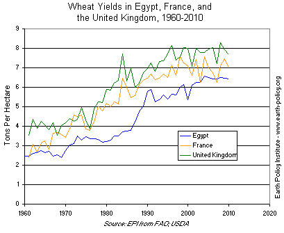 Wheat Yield in Egypt, France, and the United Kingdom, 1960-2010
